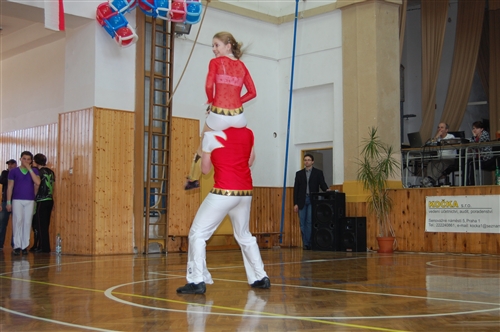 Obrázek v galerii