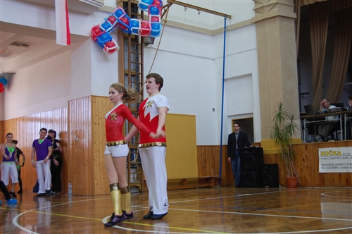 Obrázek v galerii