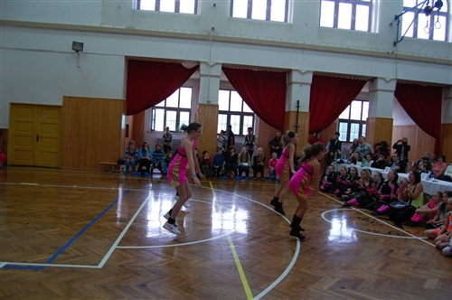 Obrázek v galerii