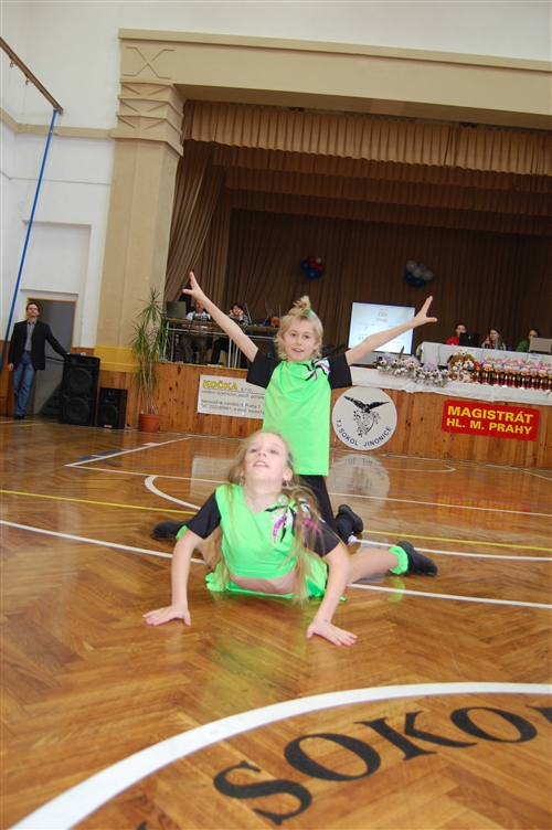 Obrázek v galerii