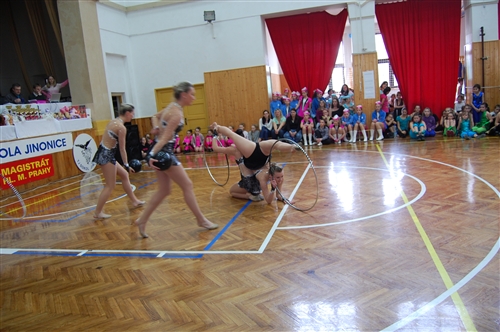Obrázek v galerii