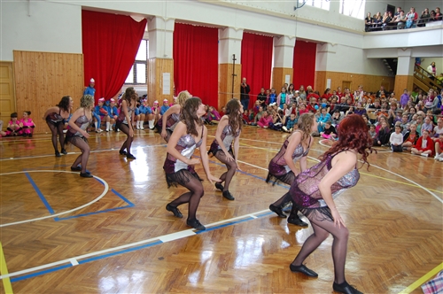 Obrázek v galerii
