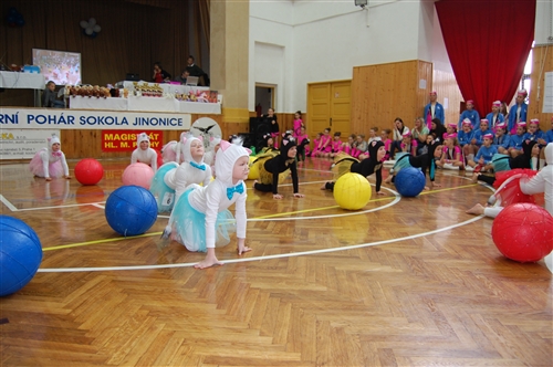 Obrázek v galerii