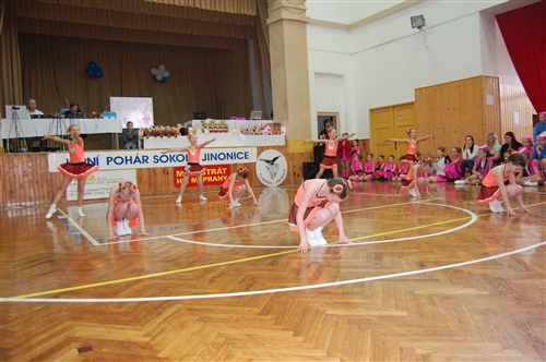 Obrázek v galerii
