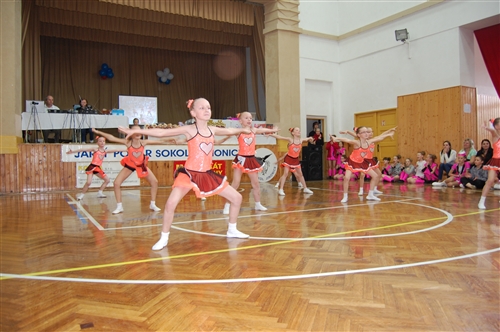 Obrázek v galerii