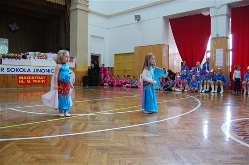 Obrázek v galerii