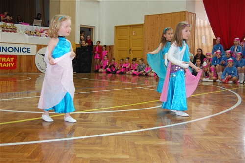 Obrázek v galerii
