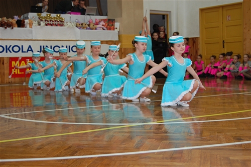 Obrázek v galerii