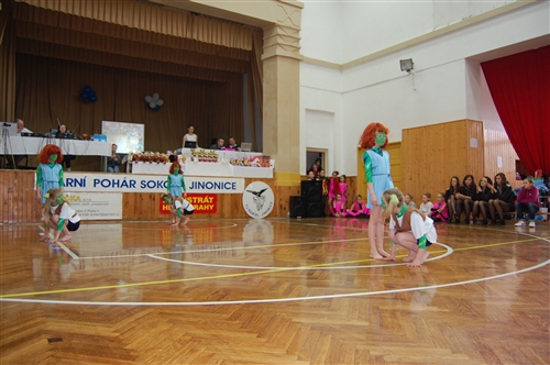 Obrázek v galerii