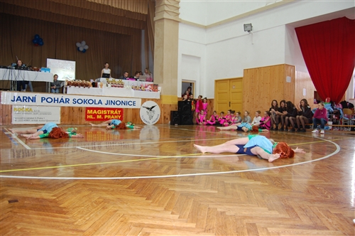 Obrázek v galerii