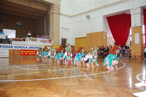 Obrázek v galerii