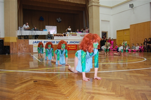 Obrázek v galerii