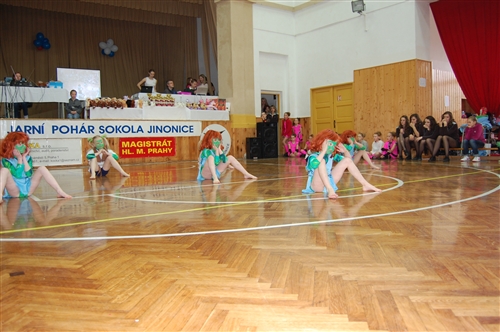 Obrázek v galerii