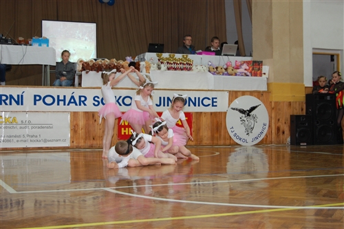 Obrázek v galerii