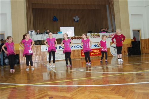 Obrázek v galerii