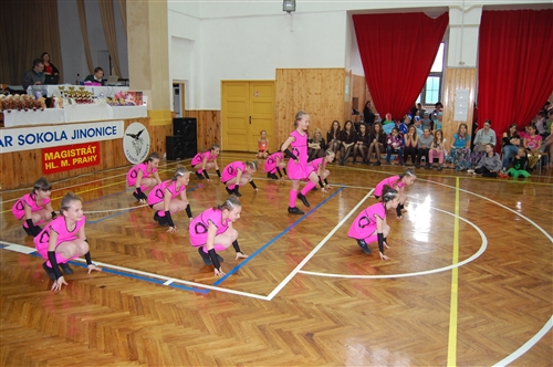 Obrázek v galerii