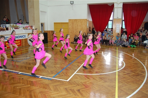 Obrázek v galerii