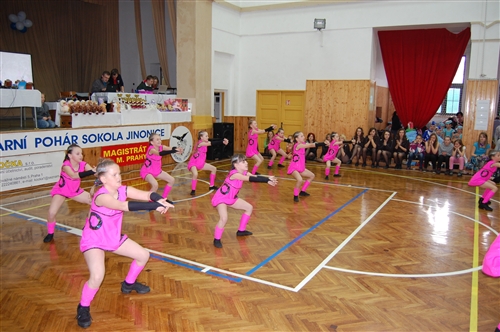 Obrázek v galerii