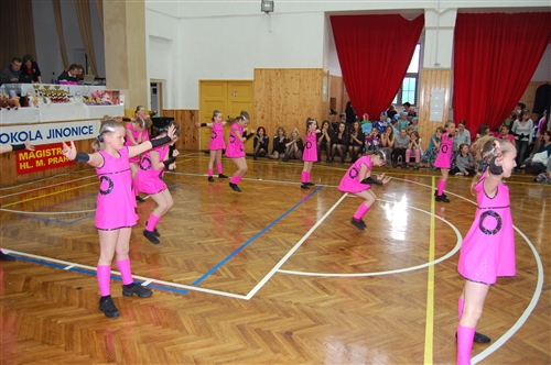 Obrázek v galerii