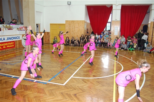 Obrázek v galerii
