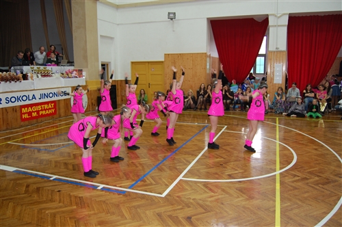 Obrázek v galerii