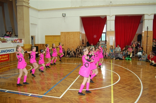 Obrázek v galerii