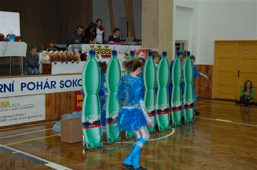 Obrázek v galerii