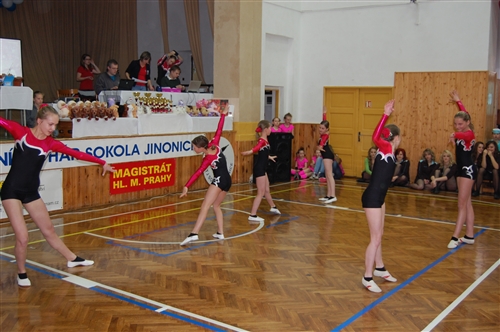 Obrázek v galerii