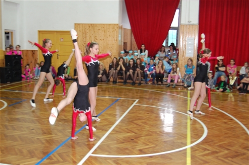 Obrázek v galerii