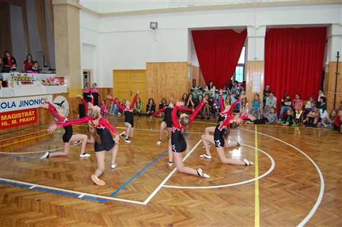 Obrázek v galerii