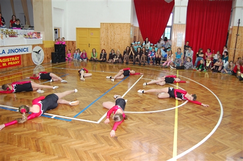 Obrázek v galerii