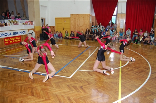Obrázek v galerii