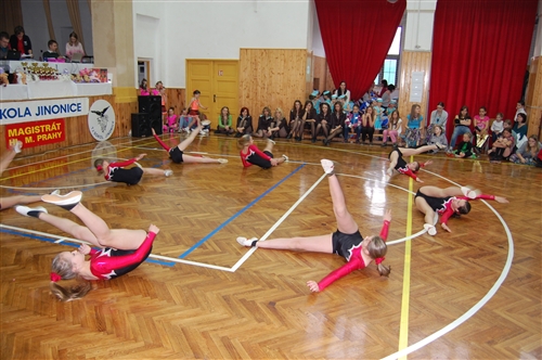 Obrázek v galerii