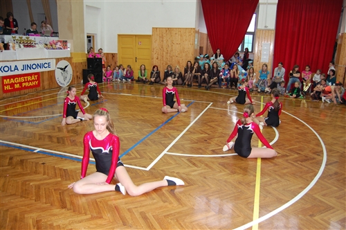 Obrázek v galerii