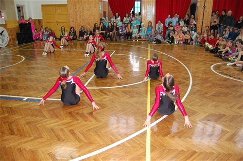 Obrázek v galerii