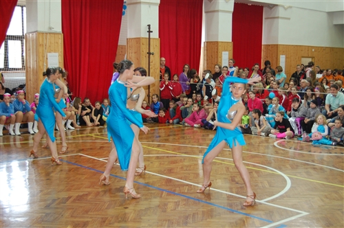 Obrázek v galerii