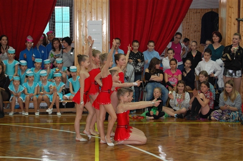 Obrázek v galerii