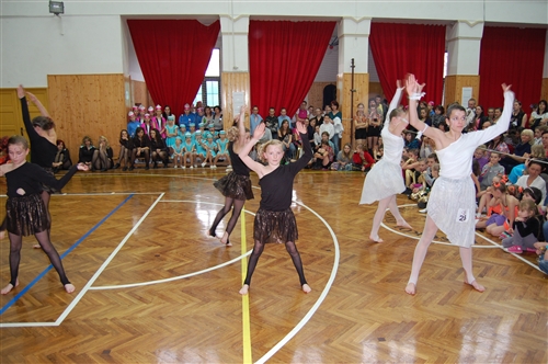 Obrázek v galerii