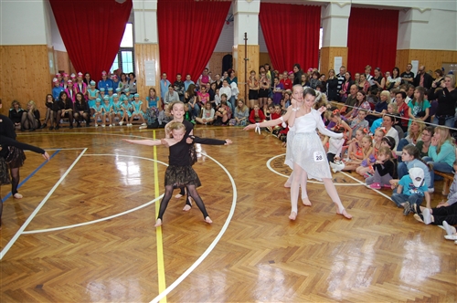 Obrázek v galerii
