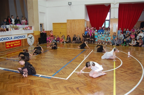 Obrázek v galerii