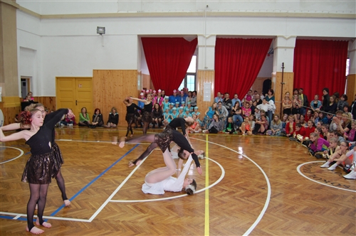 Obrázek v galerii