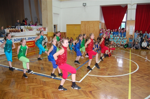 Obrázek v galerii