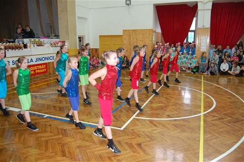 Obrázek v galerii