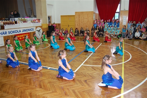 Obrázek v galerii