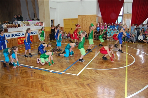 Obrázek v galerii