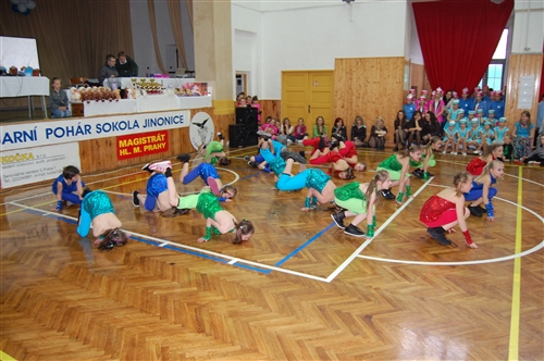 Obrázek v galerii