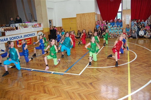 Obrázek v galerii