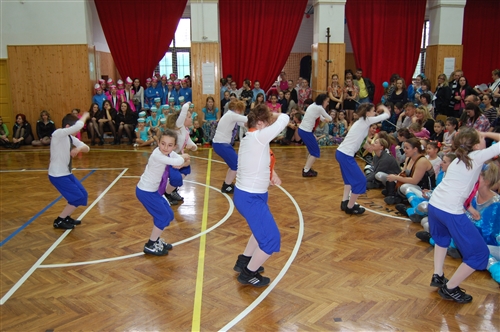 Obrázek v galerii