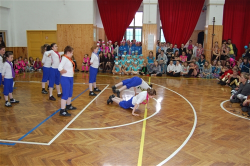 Obrázek v galerii