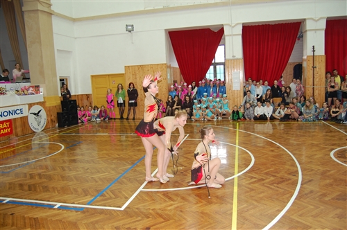 Obrázek v galerii
